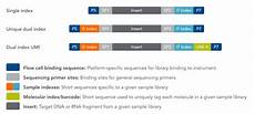 illumina ngs sequencing ngs adapters with molecular barcodes idt illumina ngs sequencing ngs adapters with molecular barcodes idt