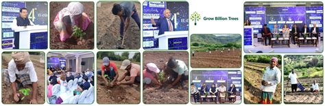 The Council of EU Chambers of Commerce in India’s EcoCollab: Uniting B ...