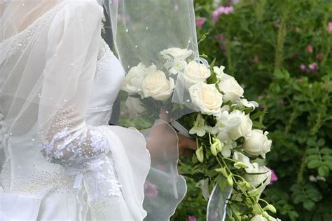 Image result for June Bride Spring Song