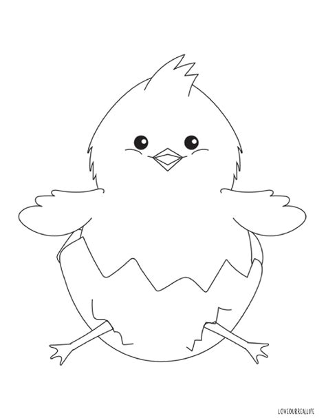 Chick Printable Coloring Pages