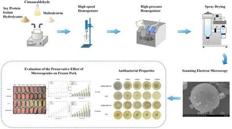 Foods | Special Issue : Antimicrobial and Antioxidant Properties of ...