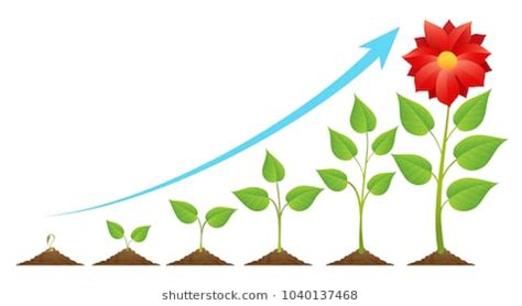 Image result for How Light Reflects