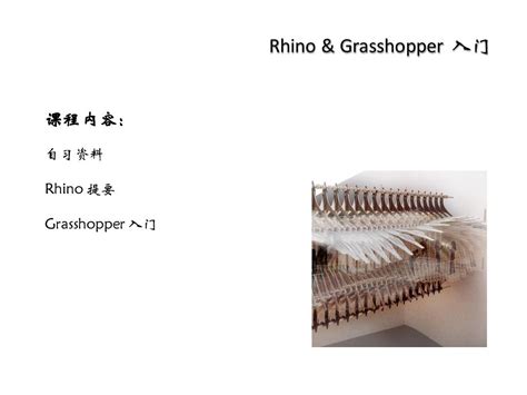 Grasshopper Rhino