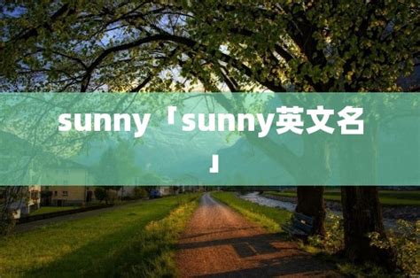 sunny「sunny英文名」 - 周记网