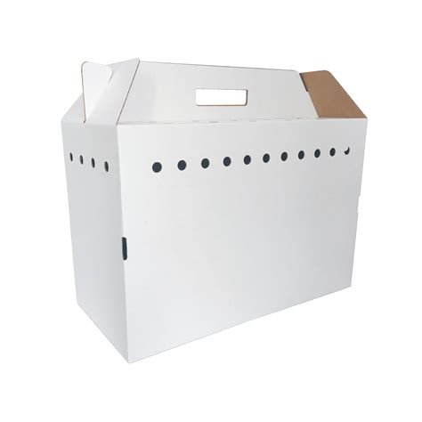 BOENMED: Manufacturer of High Quality Medical Products | Cardboard Cat ...