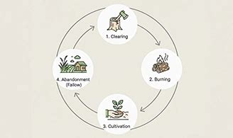 Shifting Cultivation: Meaning, Process, Pros & Cons