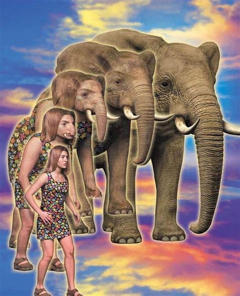 StreetArtGlobeさんのインスタグラム写真 - (StreetArtGlobeInstagram)「'Animorphs', the ...