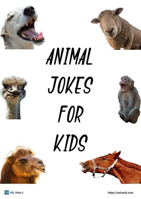 Best Kid Animal Jokes at Mike Friddle blog