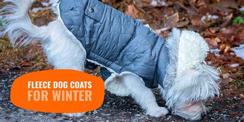 Top 5 Best Fleece Dog Coats for Winter — Breeding Business