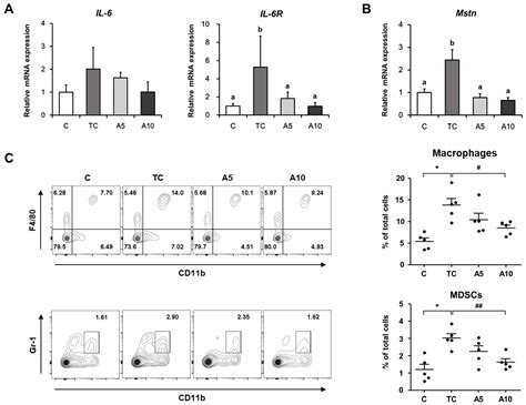 Z-ajoene from Crushed Garlic Alleviates Cancer-Induced Skeletal Muscle ...