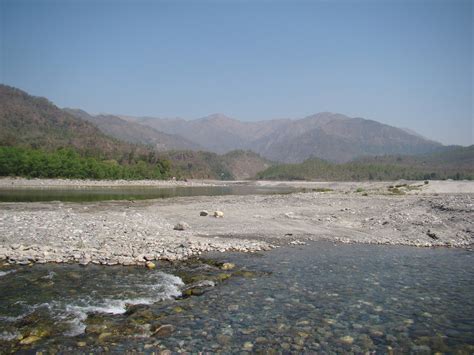 Please keep your tree Plantations away from River Floodplains – SANDRP