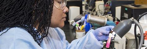 Image result for Lab MLT