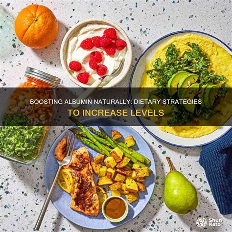 How To Increase Albumin Levels