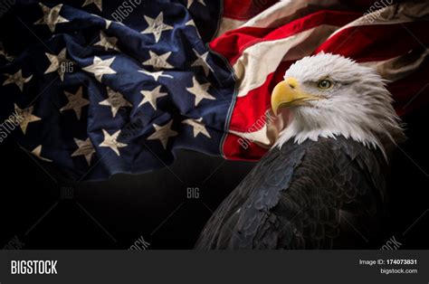 American Symbols 的图像结果