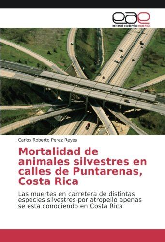 Buy Mortalidad de animales silvestres en calles de Puntarenas Costa ...