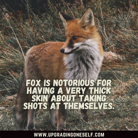 Top 17 Amazing Quotes About Fox To Astonish You