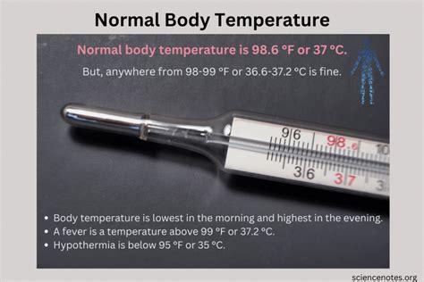Image result for Normal Temp Range Human