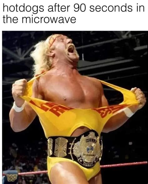 Hulk Hogan Funny Meme