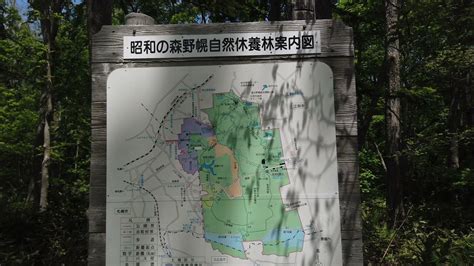 Image result for Hello Spring Round Sign