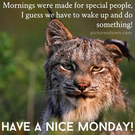 Good morning monday funny picture first day of the week free