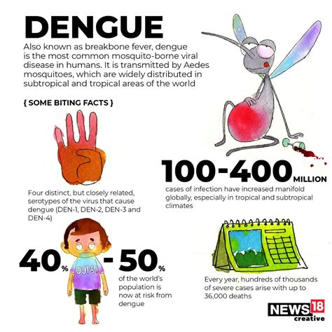 In Pics | Dengue Signs, Symptoms & How You Can Prevent Yourself from Deadliest Disease