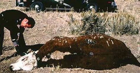 Image result for Alien Dulce Battle 1979