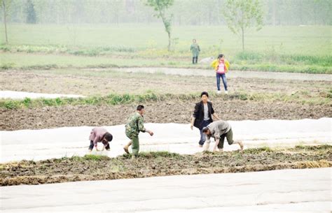 各地抢抓农时进行早稻育秧 为春耕生产打好基础|广东_新浪新闻