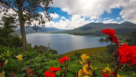 7 Places To Visit In Buleleng Regency Bali In March In 2025