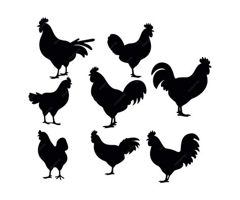 Premium Vector | Set of detailed quality vector silhouettes of chickens hens roosters