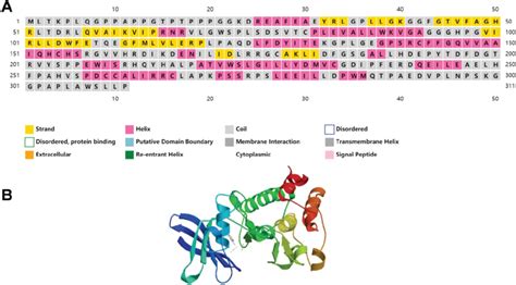 Image result for PIM2