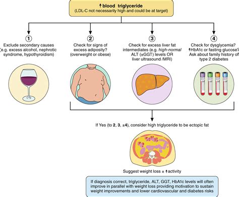 Very High Triglycerides