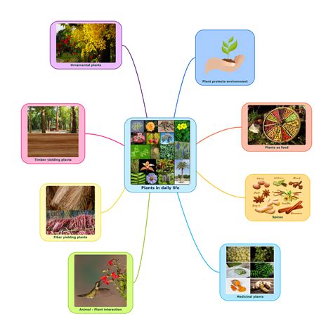 Concept Map — lesson. Science State Board, Class 6.