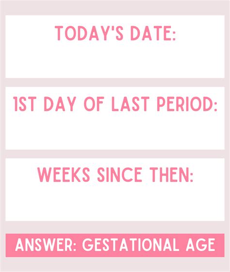 I'm Pregnant, Now What? - Focus on the Family