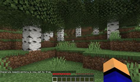 Image result for How to Turn On Keep Inventory Minecraft Java
