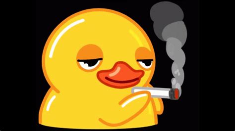 Smoking Duck Gif