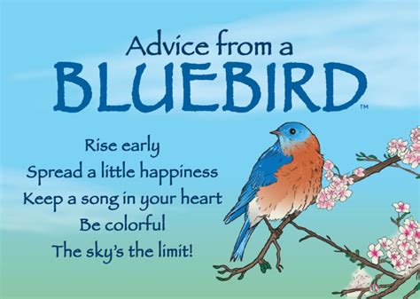 Advice from a Bluebird - Spread a Little Happiness