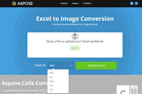 Free online Excel to Image converter | File Format Apps Blog - aspose.app