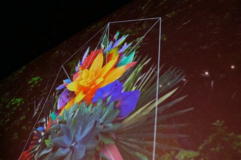 Kenzo Womenswear SS13 Womenswear | Dazed