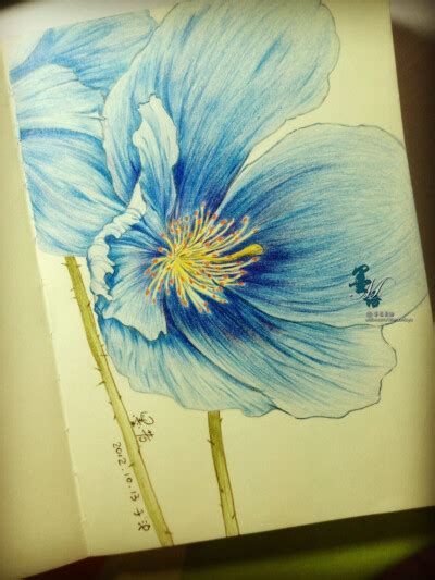 彩铅手绘 的图像结果