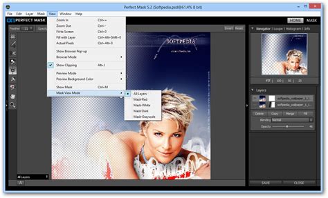 Perfect Mask Tutorial 的图像结果
