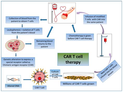 Current Technologies and Future Perspectives in Immunotherapy towards a Clinical Oncology Approach