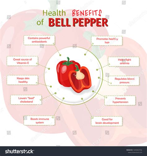 Health Benefits Bell Pepper Bell Pepper Stock Vector (Royalty Free) 1645063732 | Shutterstock