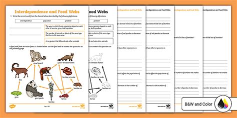 The Interdependence of Food Webs Worksheet for 4th-5th Grade