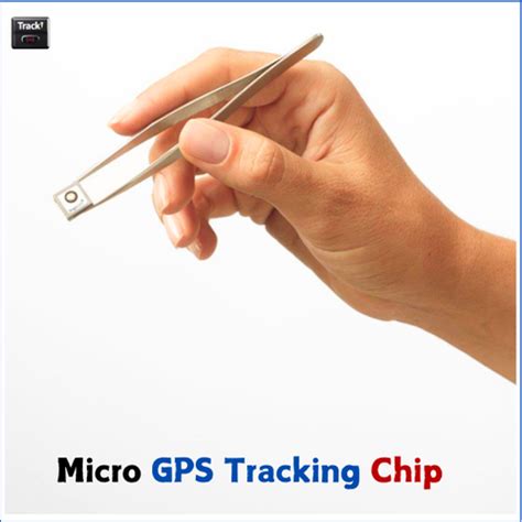 Image result for Micro GPS Tracking Chip