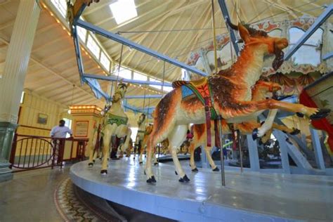 A ride through history - Reviews, Photos - Dentzel Carousel - Tripadvisor
