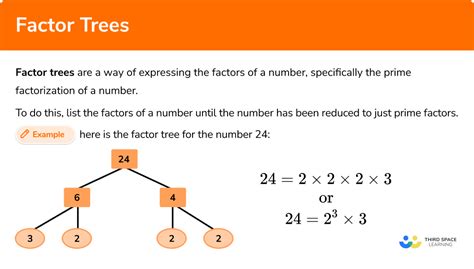 Factor Tree Square Root 的图像结果
