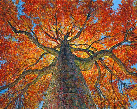 Climb That Tree 的图像结果