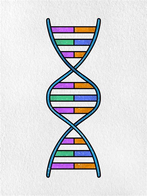 Dna Helix Drawing