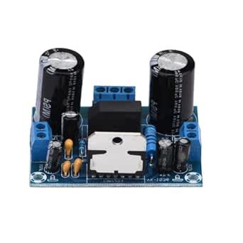 Wedinard Audio AMP Module, Dual AC12-32V Digital Audio Power Amplifier ...