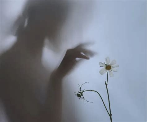 The Invisible Architecture Of Feeling: On Scent, Connection And Memory